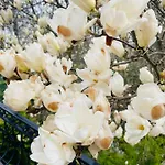 Z Sauna Nad Jeziorem 61 Żywiec