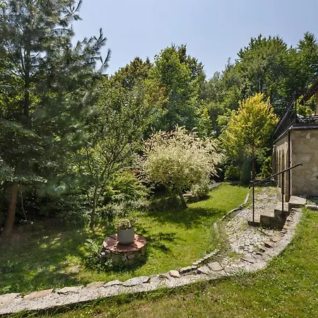 Z Sauną Nad Jeziorem 61