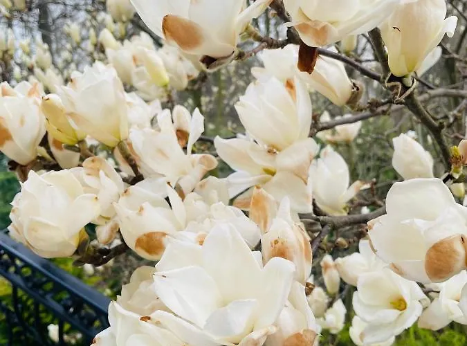 Z Sauna Nad Jeziorem 61 Żywiec