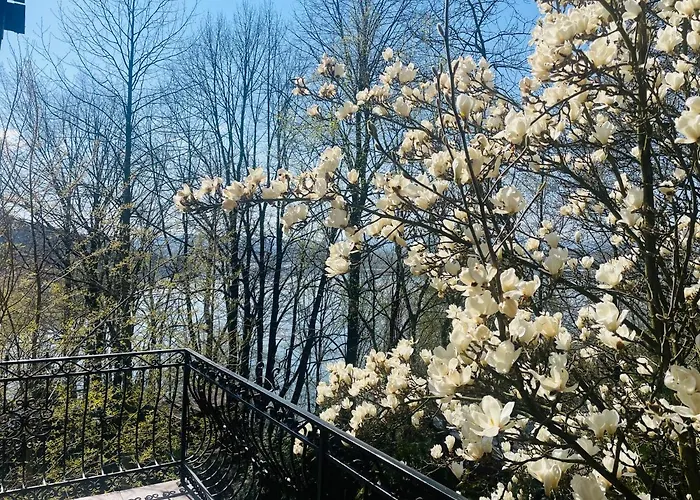 Villa Z Sauna Nad Jeziorem 61 Żywiec